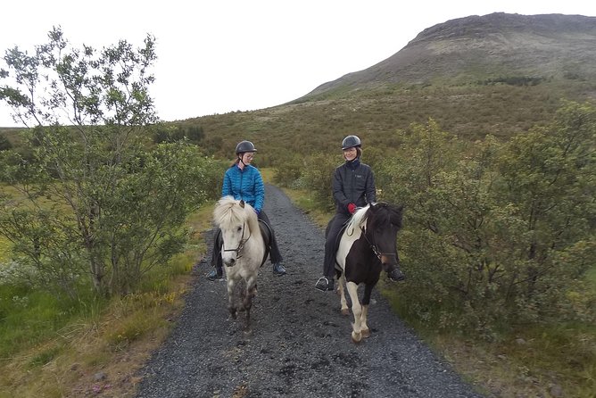 1+ hour Private Horse riding tour from Reykjavík/Mosfellsbær - Key takeaways before you book