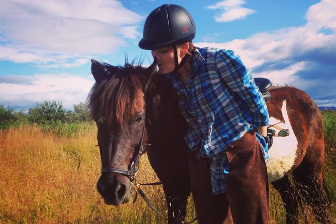 1+ hour Private Horse riding tour from Reykjavík/Mosfellsbær - The stables experience: where the ride starts (and where people relax)