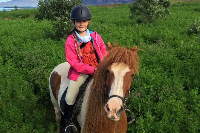 1+ hour Private Horse riding tour from Reykjavík/Mosfellsbær - Riding basics, Icelandic gaits, and why the ride feels smoother than you expect