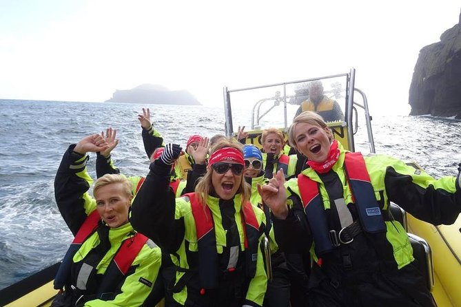 1-Hour Small Group Sightseeing Boat Tour in Vestmannaeyjar - Quick highlights before you go