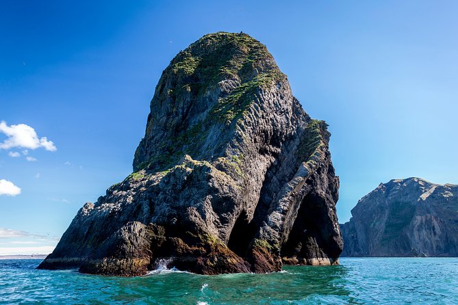 1-Hour Small Group Sightseeing Boat Tour in Vestmannaeyjar - Ribsafari itinerary: sea caves, rock formations, and seabird spotting