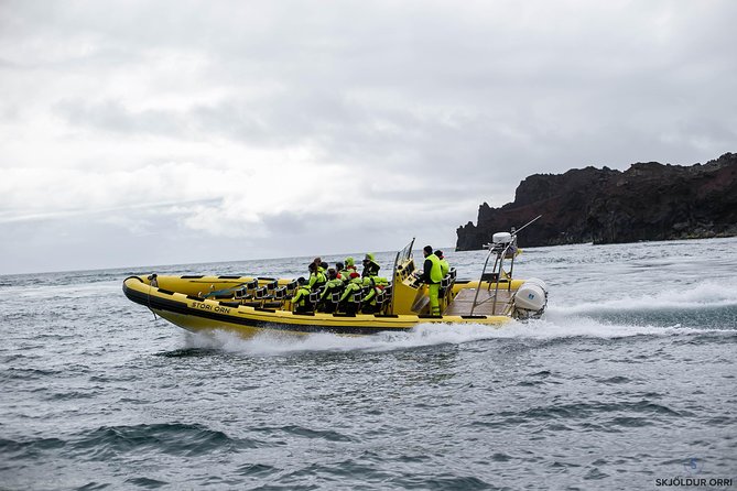 1-Hour Small Group Sightseeing Boat Tour in Vestmannaeyjar - Small-group energy: max 12 and how it affects your view