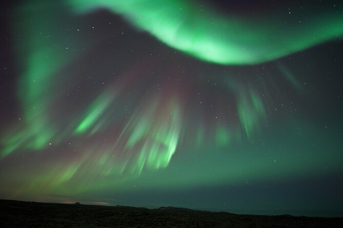 #1 Northern Lights Tour In Iceland from Reykjavik with PRO photos - Small-group size: why 19 travelers changes the feel