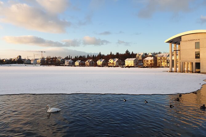2-Hour Reykjavik Private Walking Tour - Hallgrímskirkja: Optional Landmark Time With a Paid View