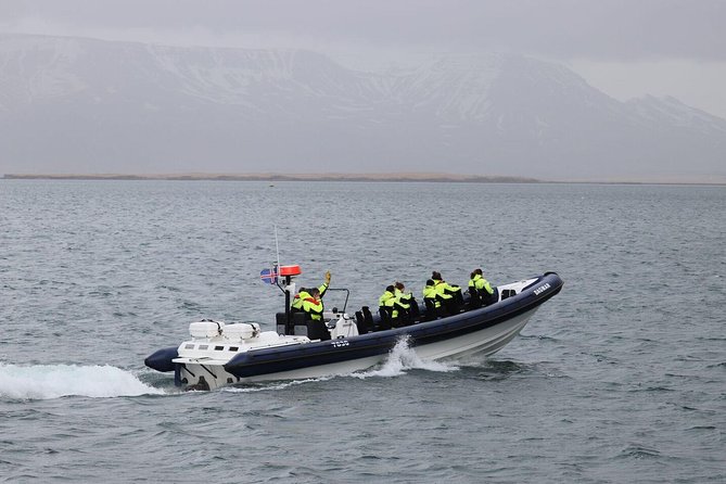 2-Hour RIB Boat Whale Watching Tour from Reykjavik - Key things I’d bank on before you go