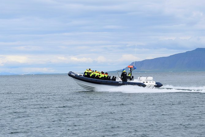 2-Hour RIB Boat Whale Watching Tour from Reykjavik - Price and value: Is $189.87 fair for a 2-hour trip?