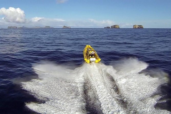 2 hour Round Trip in Vestmannaeyjar on a RIB Boat - Vestmannaeyjar in 2 hours: why a RIB works so well