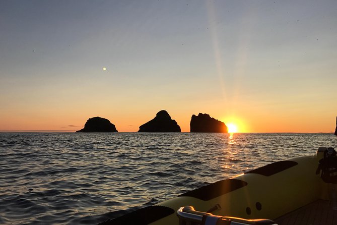 2 hour Round Trip in Vestmannaeyjar on a RIB Boat - Tangagata 7 meeting point: how to show up without stress