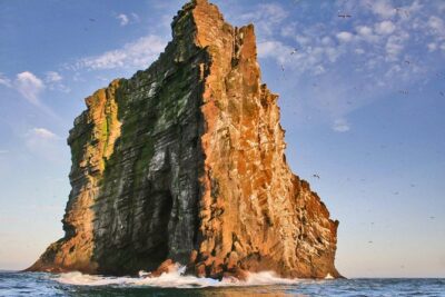 2 hour Round Trip in Vestmannaeyjar on a RIB Boat - Sea caves, elephant rock, and the seabird checklist