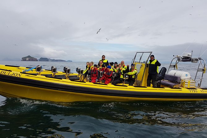 2 hour Round Trip in Vestmannaeyjar on a RIB Boat - Price and value: does $247.39 make sense?