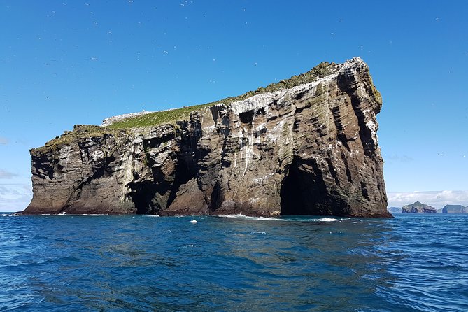 2 hour Round Trip in Vestmannaeyjar on a RIB Boat - Who should book this RIB safari (and who might skip it)
