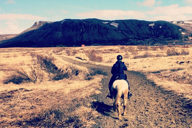 2 hours Private Horse Riding to Lake Hafravatn, Reykjavík - Mos - Key things to know before you go