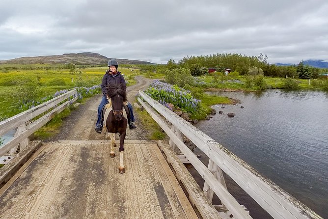 2 hours Private Horse Riding to Lake Hafravatn, Reykjavík - Mos - Getting there from Reykjavik: bus 15 or your rental car