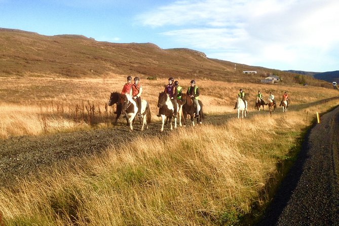 2 hours Private Horse Riding to Lake Hafravatn, Reykjavík - Mos - Quick FAQ before you commit