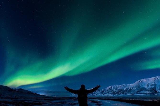 5-Days Land of Northern Lights Tour from Reykjavík - Day 4: Fridheimar Horses, Geysir Eruptions, Gullfoss Water Power, Thingvellir History