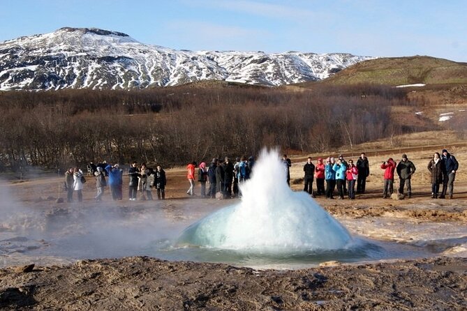 5-Days Land of Northern Lights Tour from Reykjavík - Reykjavik Again on Day 5: Final Flex Time