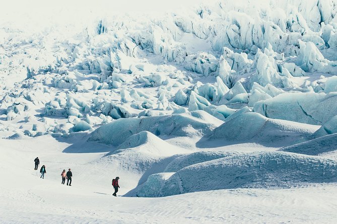 6-Day Summer Ring Route of Iceland Small-Group Tour - Day 6: Akureyri and Hauganes whale watching to close the loop