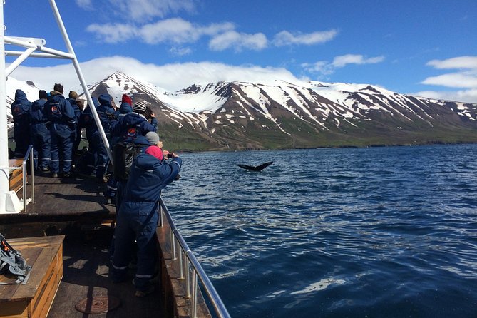 7-Day Complete Iceland: South Coast, Golden Circle, Akureyri & Snaefellsnes - Borgarfjörður volcano crater hike, Hraunfossar, and Snorri’s Reykholt