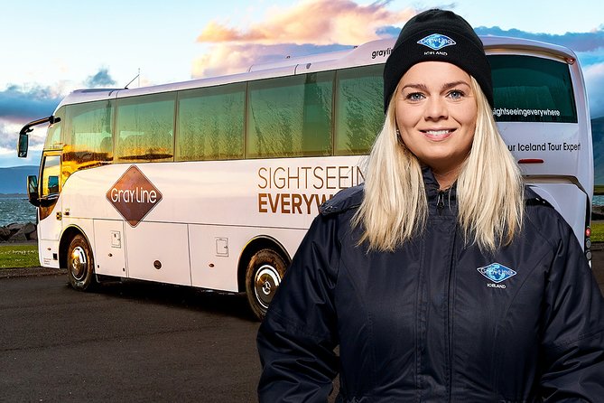 Airport Express Shared Arrival Transfer from Keflavik Airport to Reykjavik Hotels - Reykjavik arrival: the shuttle/minibus step and why it happens