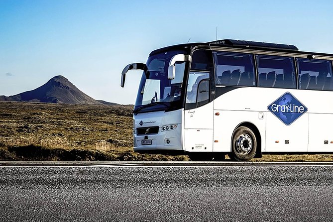 Airport Express Shared Departure Transfer from Reykjavik Hotels to Keflavik Airport - The Bus Terminal Handoff: The Part That’s Fast, but Not Always Intuitive