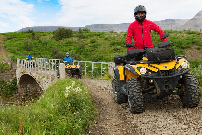 ATV & Whale Watching Full day adventure in Reykjavik - Quad Biking Beyond Reykjavik: The Off-Road Route and What Ulfarsfell Adds
