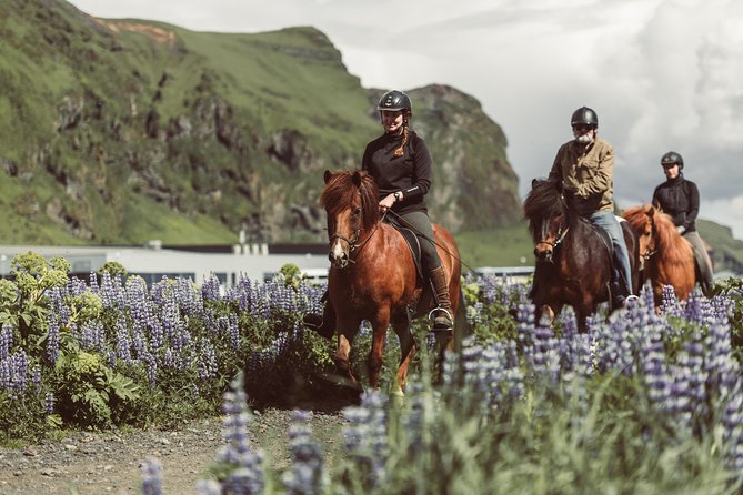Black Sand Beach Horse Riding Tour from Vik - Key Things I’d Prioritize