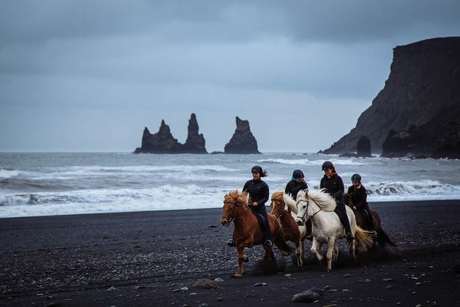 Black Sand Beach Horse Riding Tour from Vik - The One-Hour Experience: What Happens on the Beach