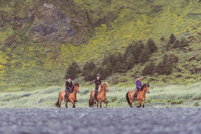 Black Sand Beach Horse Riding Tour from Vik - Can You Go Faster? Tölt and Trot Without Risking the Ride