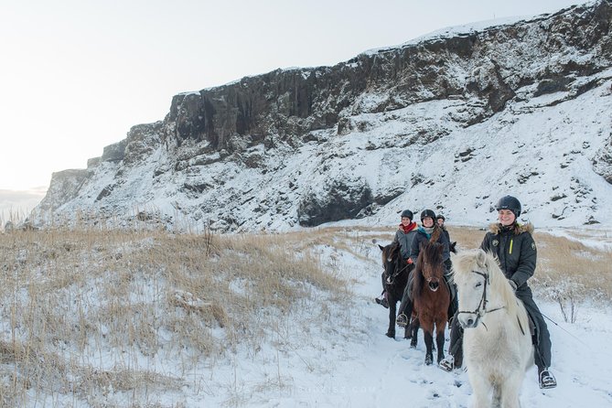 Black Sand Beach Horse Riding Tour from Vik - The Guides: Safety-First, But Still Friendly