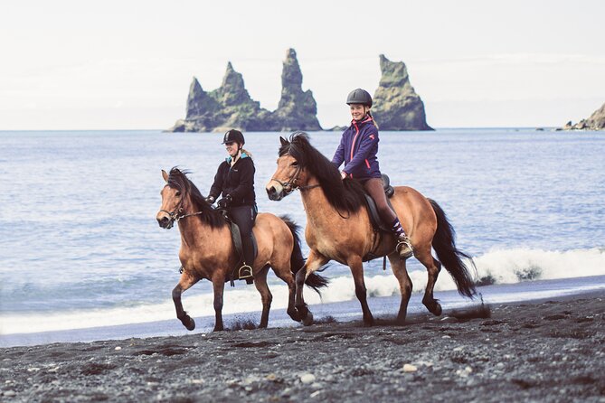 Black Sand Beach Horse Riding Tour from Vik - Value for $133: Why This Price Can Make Sense
