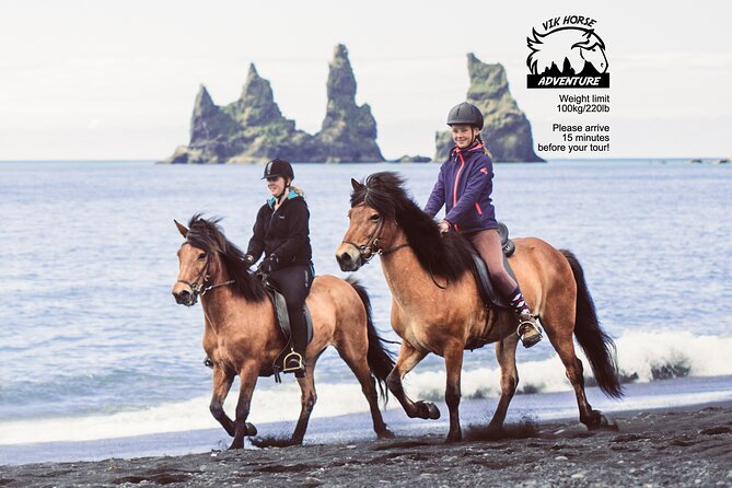 Black Sand Beach Horse Riding Tour from Vik - Icelandic Horses in Real Life: Calm, Short, and Characterful