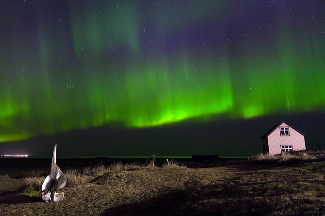 Blue Lagoon and Northern Lights Tour Including Admission - Pickup, Meeting Point, and Onboard Comfort (What to Expect)