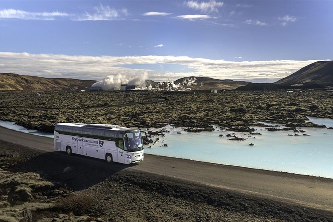 Blue Lagoon & Northern Lights Tour from Reykjavik - Who this tour suits (and who might not love it)