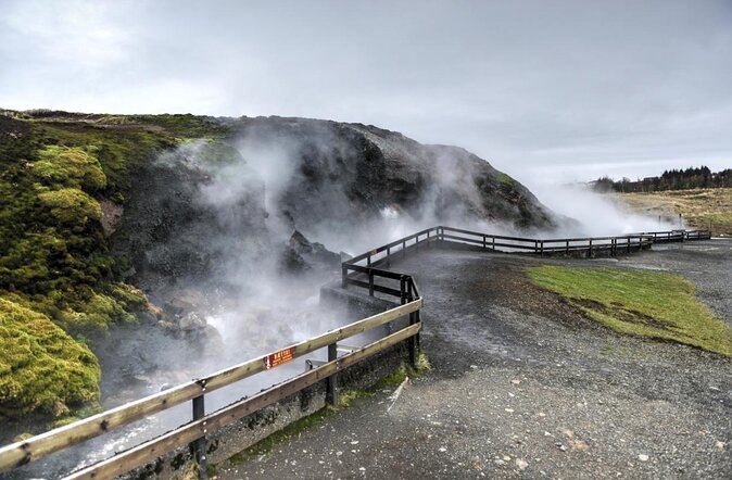 Borgarfjordur - private tour - Key things you’ll notice on this Borgarfjörður private tour