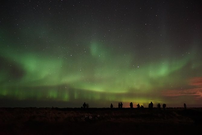 Chasing Aurora Borealis with Warmth and Treats in Premium Tour! - Minibus Comfort vs. the “Bigger Bus” Tradeoff