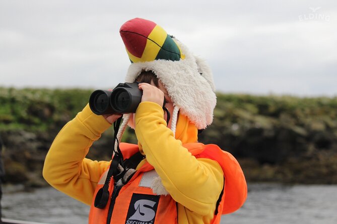 Classic Puffin Watching Cruise from Downtown Reykjavík - Value check: why $60 feels reasonable for a short, close-to-city cruise
