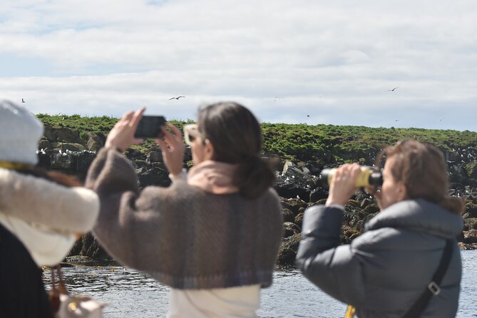 Classic Puffin Watching Cruise from Downtown Reykjavík - Puffin island sail-bys: Engey, Akurey, or Lundey (no landing, big views)