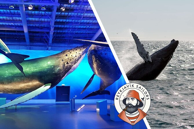 Deluxe Whale Watching and Whales of Iceland Exhibition Combo from Reykjavik - Who should book this combo (and who might not love it)