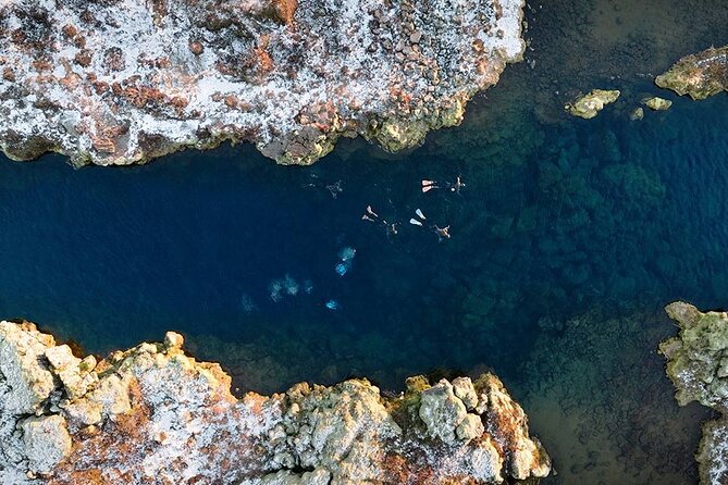 Dive the Divide: Silfra Fissure Scuba Tour | Meet at Thingvellir - Small-group control, and what good guiding feels like