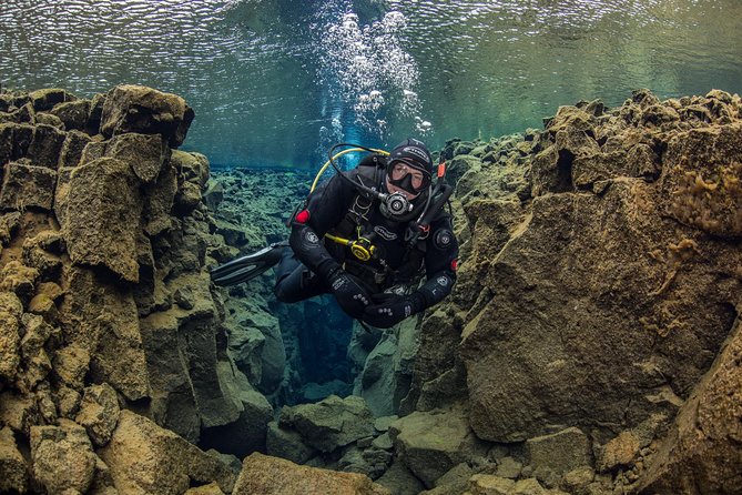 Dive the Divide: Silfra Fissure Scuba Tour | Reykjavik Pickup - Price and Value: Why This Costs $344.67 and When It’s a Good Fit