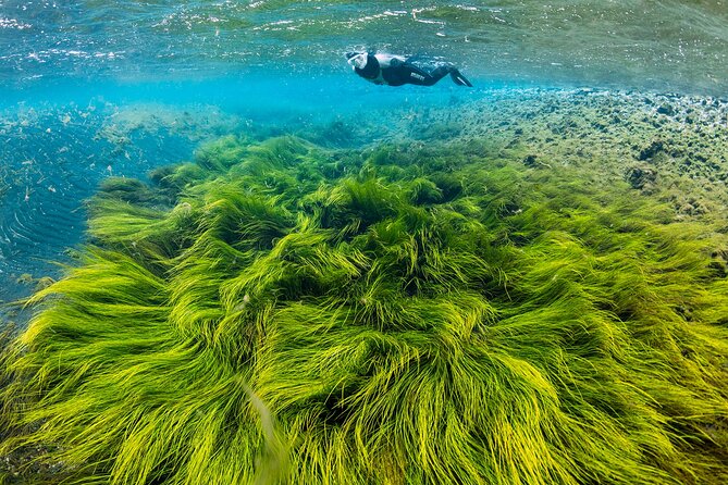 Double Snorkeling Adventure near Húsavík in North Iceland - Key highlights before you go