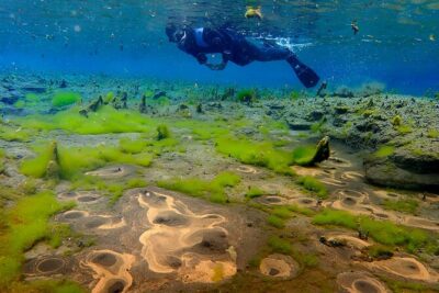 Double Snorkeling Adventure near Húsavík in North Iceland - Meeting at Skúlagarður in Ásbyrgi and Starting at 10:00