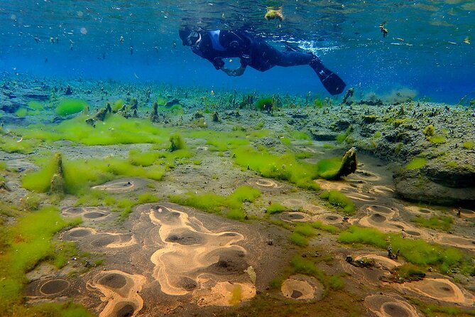 Double Snorkeling Adventure near Húsavík in North Iceland - Meeting at Skúlagarður in Ásbyrgi and Starting at 10:00
