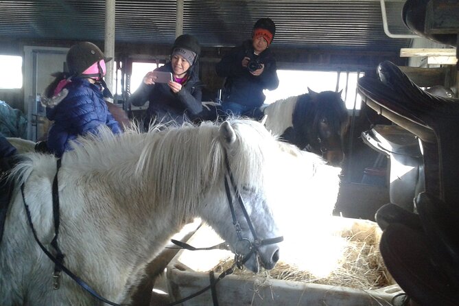 Family Horse Riding Tour in Thorlakshofn - Key points to know before you ride