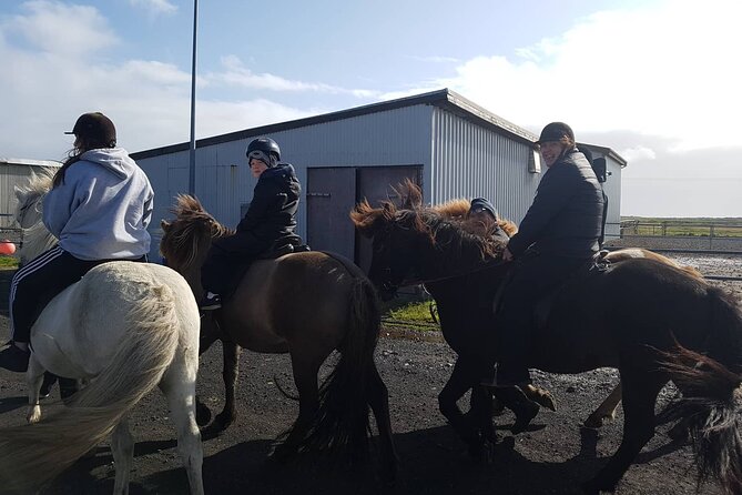 Family Horse Riding Tour in Thorlakshofn - Þorlákshöfn to Krýsuvík: lava, steam, and sea views on Icelandic horses