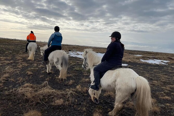 Family Horse Riding Tour in Thorlakshofn - Difficulty level: medium isn’t a warning label, it’s the whole point