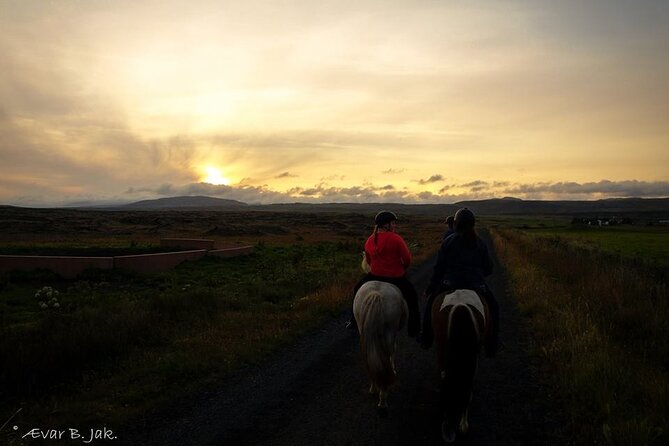 Family Horse Riding Tour in Thorlakshofn - The ride flow: what your half-day actually feels like
