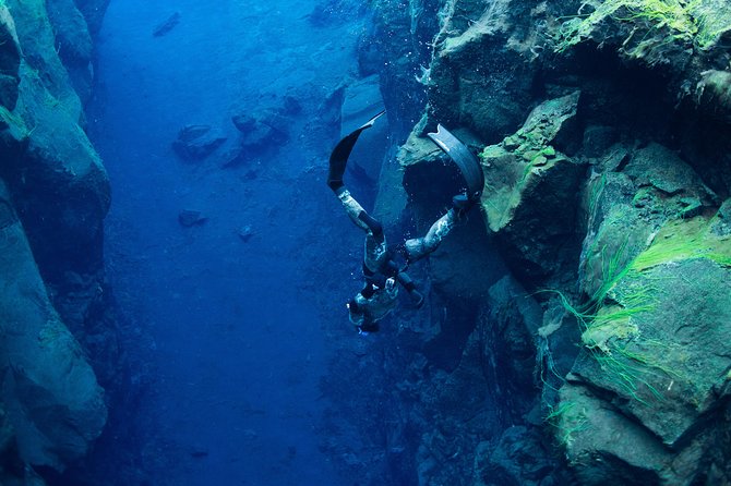 Freedive Silfra Half Day Tour - Key highlights to know before you go