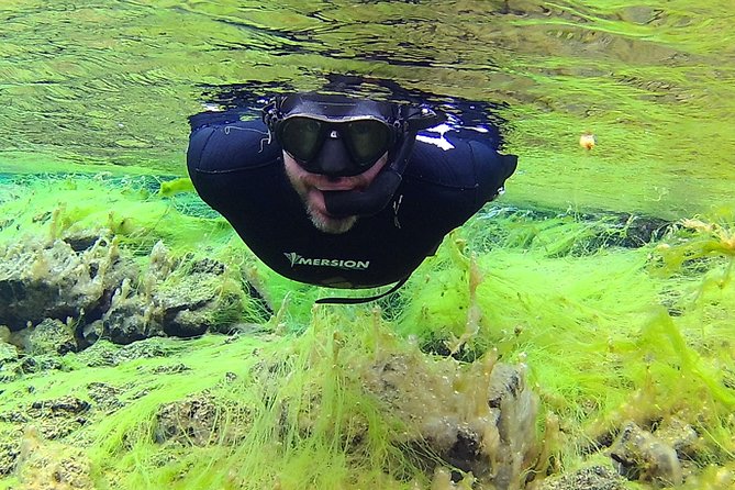 Freedive Silfra Half Day Tour - Who This Tour Suits Best (Height, Weight, Swimming Skills, and Temperament)