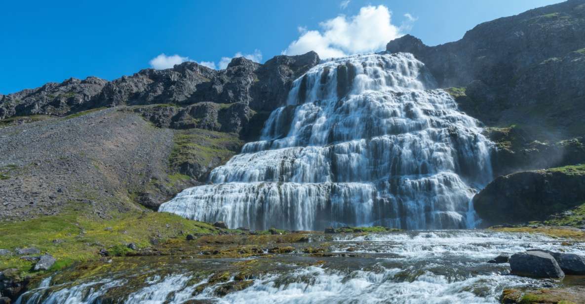 From Reykjavík: 3-Day Tour of the Wild Westfjords - Getting to the Wild Westfjords: timing, group size, and what the van changes